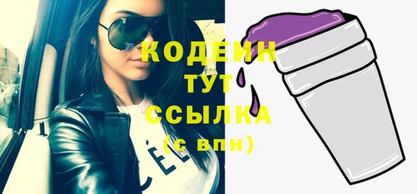 прущие грибы Нефтекумск