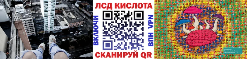 Купить где  Каменка  Марки NBOMe 1,5мг 